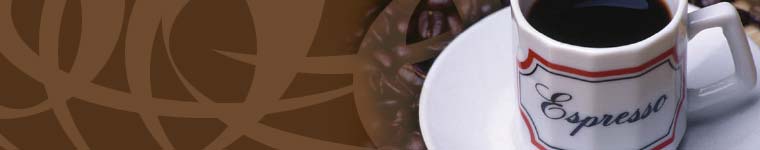 Header Graphic